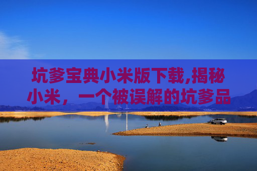 坑爹宝典小米版下载,揭秘小米,一个被误解的坑爹品牌 坑爹宝典小米版下载,揭秘小米,一个被误解的坑爹品牌