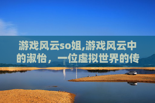 游戏风云so姐,游戏风云中的淑怡，一位虚拟世界的传奇女性