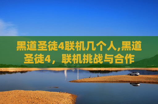 黑道圣徒4联机几个人,黑道圣徒4，联机挑战与合作