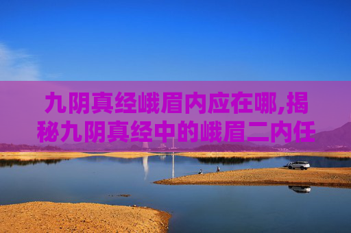 九阴真经峨眉内应在哪,揭秘九阴真经中的峨眉二内任务，技巧与策略