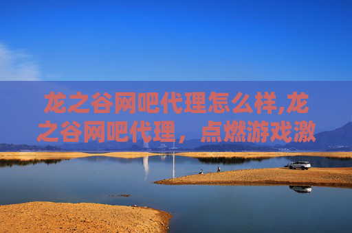 龙之谷网吧代理怎么样,龙之谷网吧代理，点燃游戏激情，共创电竞未来