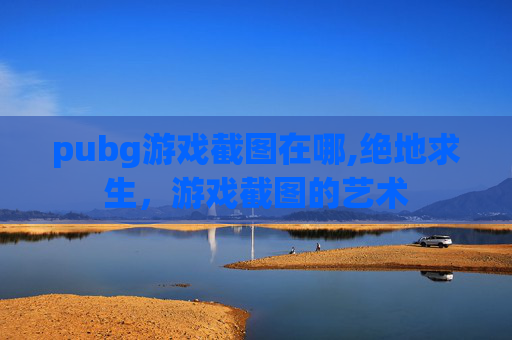 pubg游戏截图在哪,绝地求生，游戏截图的艺术