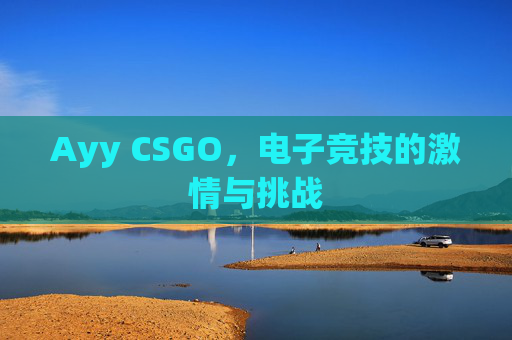 Ayy CSGO，电子竞技的激情与挑战