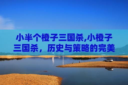 小半个橙子三国杀,小橙子三国杀，历史与策略的完美结合