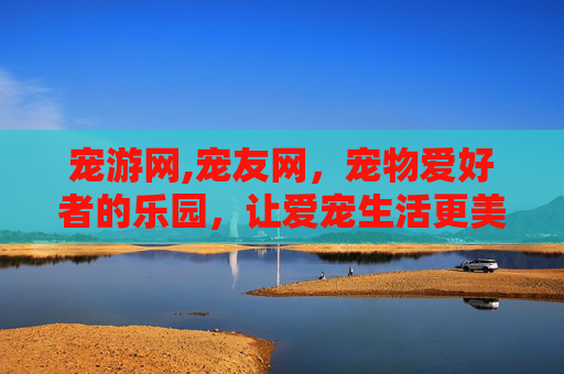 宠游网,宠友网，宠物爱好者的乐园，让爱宠生活更美好