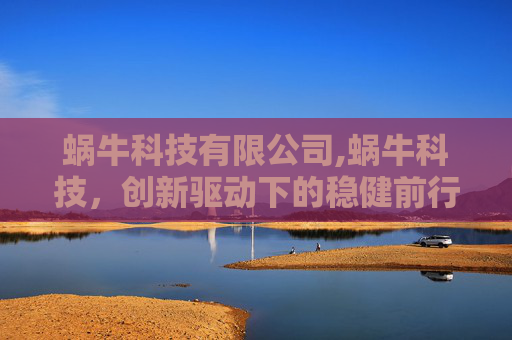 蜗牛科技有限公司,蜗牛科技，创新驱动下的稳健前行