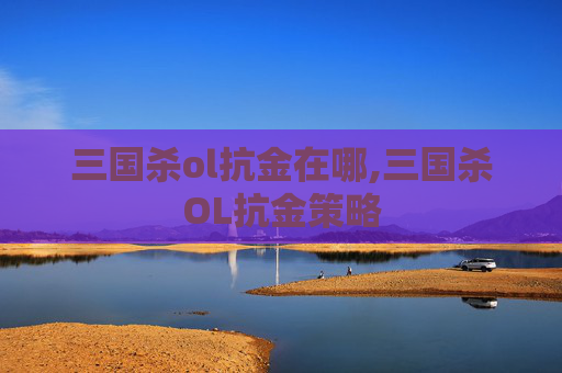 三国杀ol抗金在哪,三国杀OL抗金策略 三国杀ol抗金在哪,三国杀OL抗金策略