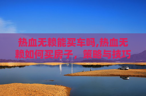 热血无赖能买车吗,热血无赖如何买房子，策略与技巧全解析