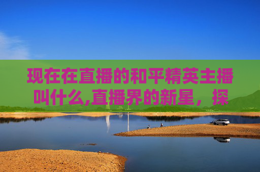 现在在直播的和平精英主播叫什么,直播界的新星，探索和平精英主播的崛起之路