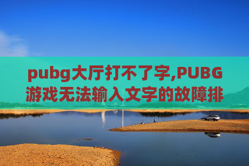 pubg大厅打不了字,PUBG游戏无法输入文字的故障排查与解决策略