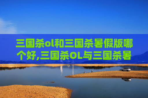 三国杀ol和三国杀暑假版哪个好,三国杀OL与三国杀暑假版，两款经典游戏的不同体验