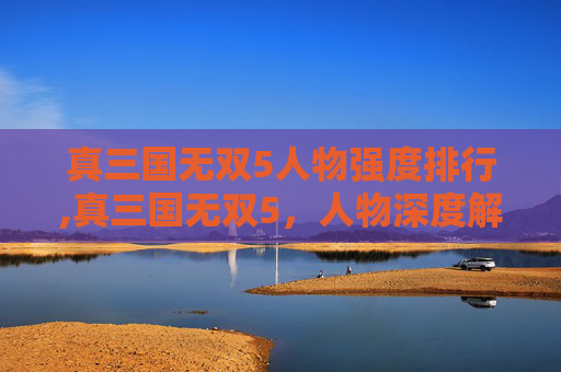 真三国无双5人物强度排行,真三国无双5，人物深度解析