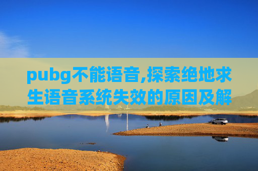 pubg不能语音,探索绝地求生语音系统失效的原因及解决策略