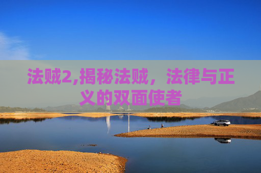 法贼2,揭秘法贼，法律与正义的双面使者