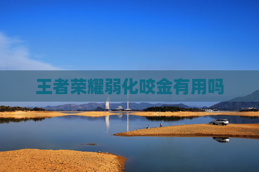 王者荣耀弱化咬金有用吗