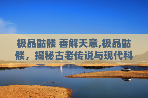 极品骷髅 善解天意,极品骷髅，揭秘古老传说与现代科技的碰撞