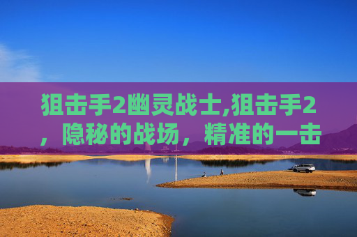狙击手2幽灵战士,狙击手2，隐秘的战场，精准的一击