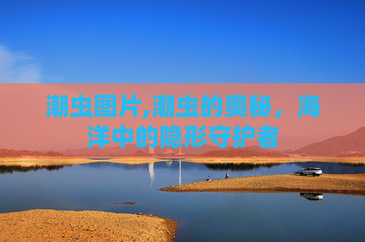 潮虫图片,潮虫的奥秘,海洋中的隐形守护者 潮虫图片,潮虫的奥秘,海洋中的隐形守护者