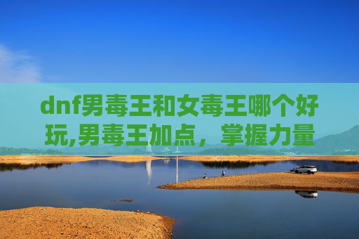 dnf男毒王和女毒王哪个好玩,男毒王加点，掌握力量的秘诀