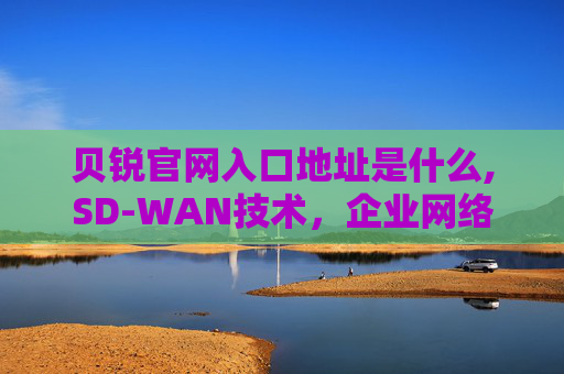 贝锐官网入口地址是什么,SD-WAN技术，企业网络优化的黄金标准