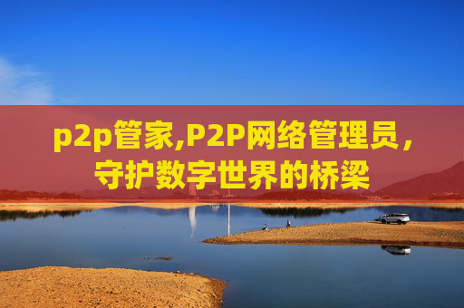 p2p管家,P2P网络管理员,守护数字世界的桥梁 p2p管家,P2P网络管理员,守护数字世界的桥梁