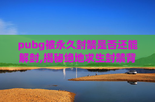 pubg被永久封禁是否还能解封,揭秘绝地求生封禁背后的真相