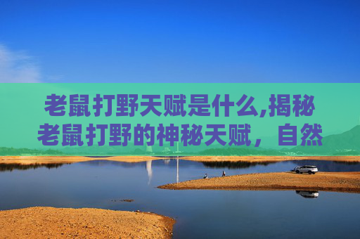 老鼠打野天赋是什么,揭秘老鼠打野的神秘天赋，自然界中的隐形猎手