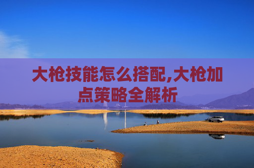 大枪技能怎么搭配,大枪加点策略全解析