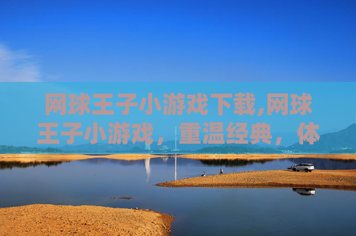 网球王子小游戏下载,网球王子小游戏，重温经典，体验挥拍的快感