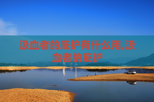 汲血者的庇护有什么用,汲血者的庇护