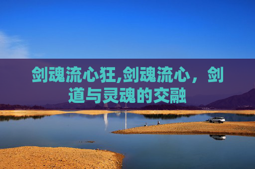 剑魂流心狂,剑魂流心，剑道与灵魂的交融