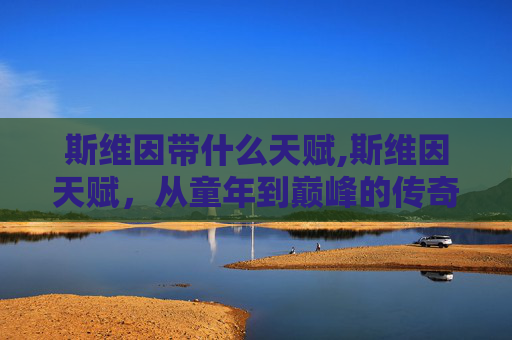 斯维因带什么天赋,斯维因天赋，从童年到巅峰的传奇之路
