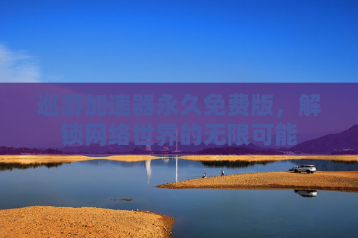 巡游加速器永久免费版，解锁网络世界的无限可能