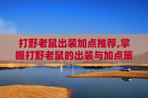 打野老鼠出装加点推荐,掌握打野老鼠的出装与加点策略,成为游戏中的终极猎手 打野老鼠出装加点推荐,掌握打野老鼠的出装与加点策略,成为游戏中的终极猎手