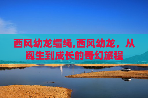 西风幼龙缰绳,西风幼龙,从诞生到成长的奇幻旅程 西风幼龙缰绳,西风幼龙,从诞生到成长的奇幻旅程