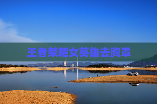 王者荣耀女英雄去胸罩