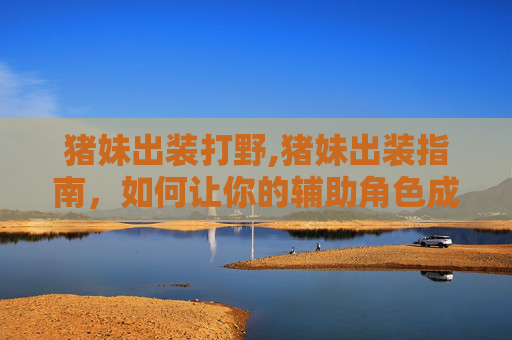 猪妹出装打野,猪妹出装指南，如何让你的辅助角色成为战场上的焦点