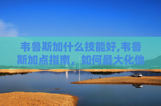 韦鲁斯加什么技能好,韦鲁斯加点指南，如何最大化他的潜力？