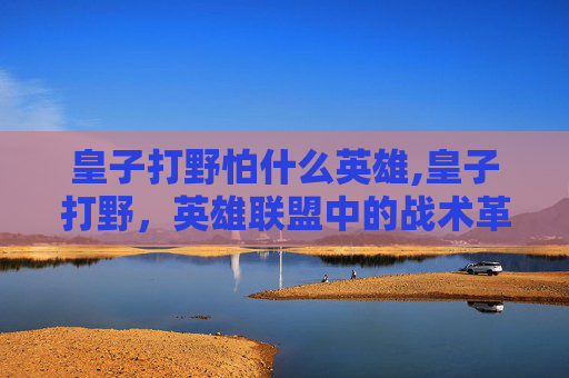 皇子打野怕什么英雄,皇子打野，英雄联盟中的战术革新者