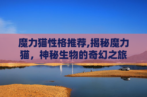 魔力猫性格推荐,揭秘魔力猫，神秘生物的奇幻之旅