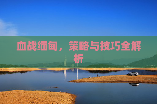 血战缅甸，策略与技巧全解析