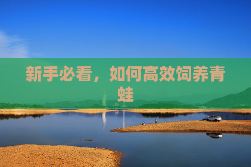 新手必看，如何高效饲养青蛙