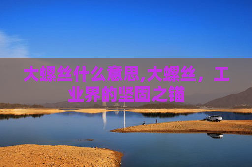 大螺丝什么意思,大螺丝，工业界的坚固之锚