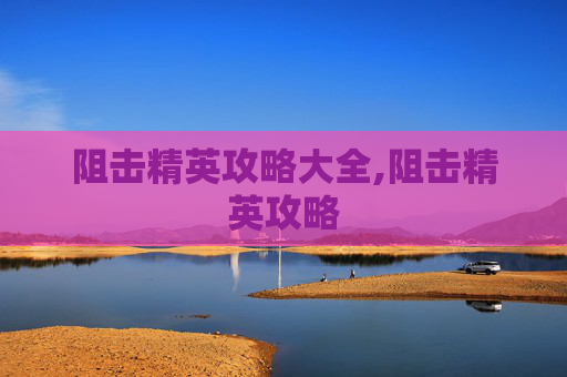 阻击精英攻略大全,阻击精英攻略