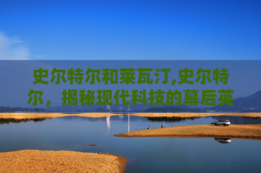 史尔特尔和莱瓦汀,史尔特尔，揭秘现代科技的幕后英雄