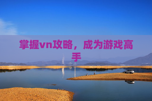 掌握vn攻略，成为游戏高手