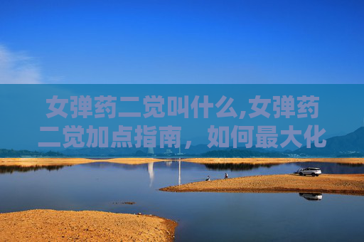 女弹药二觉叫什么,女弹药二觉加点指南，如何最大化你的输出潜力？