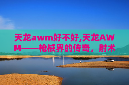 天龙awm好不好,天龙AWM——枪械界的传奇，射术的极致追求