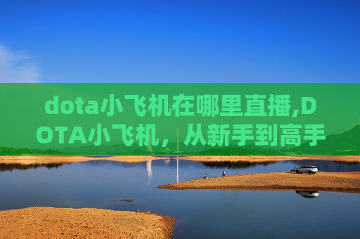 dota小飞机在哪里直播,DOTA小飞机，从新手到高手的必经之路