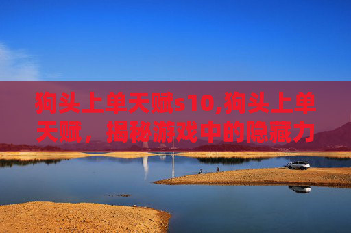 狗头上单天赋s10,狗头上单天赋，揭秘游戏中的隐藏力量